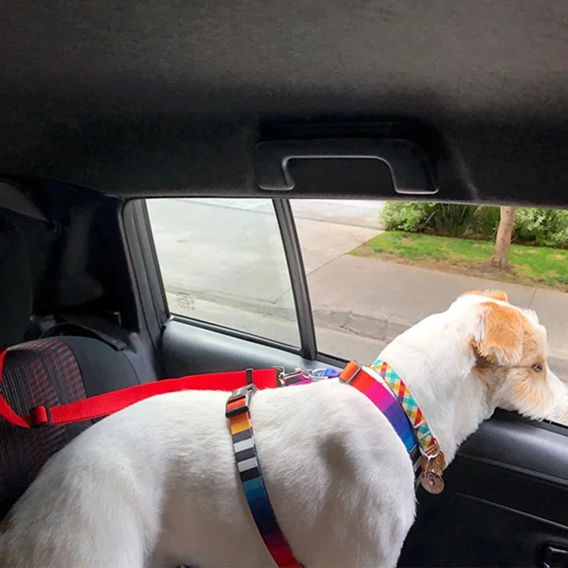 Verstellbarer Sicherheitsgurt für Haustiere – Sicher reisen mit Hund und Katze